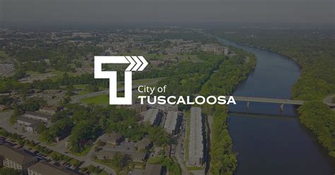 tuscaloosa city business license|Iba pa.